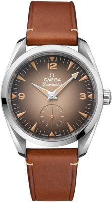 Omega 235.12.38.20.13.001 Railmaster on Strap